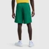 9" klassiske mesh-Shorts, C Logo