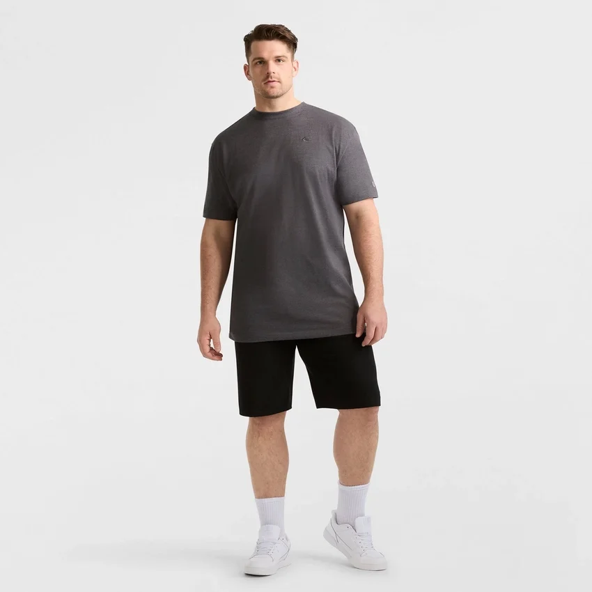 Klassisk T-shirt, C Logo – Big & Tall