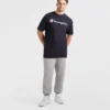 Klassisk T-shirt med grafisk motiv, Script Logo – Big & Tall