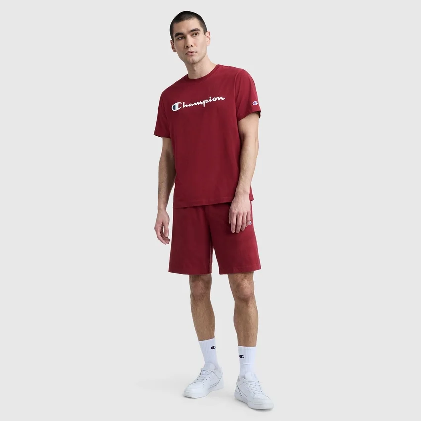 Klassisk T-shirt med grafisk print, Script Logo