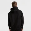 Reverse Weave Small C-hoodie Sweatshirt